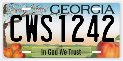 GA license plate CWS1242
