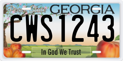 GA license plate CWS1243