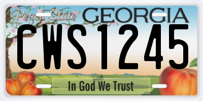 GA license plate CWS1245
