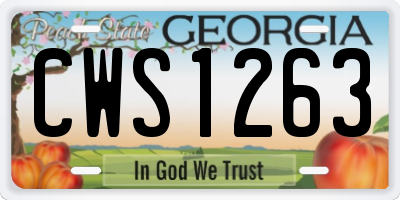 GA license plate CWS1263