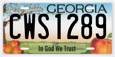 GA license plate CWS1289