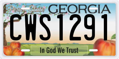 GA license plate CWS1291