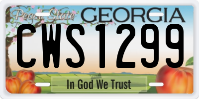 GA license plate CWS1299