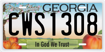 GA license plate CWS1308