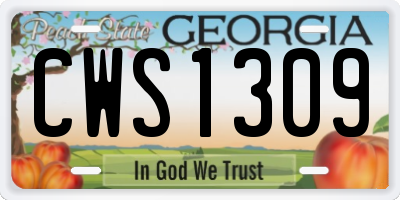 GA license plate CWS1309