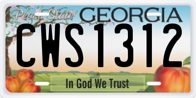 GA license plate CWS1312