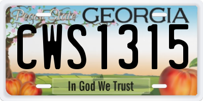 GA license plate CWS1315