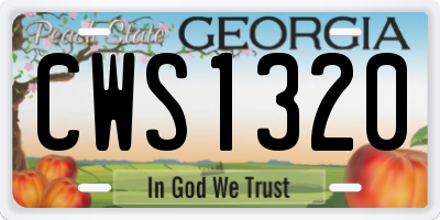 GA license plate CWS1320