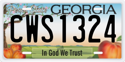 GA license plate CWS1324