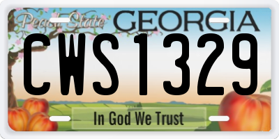 GA license plate CWS1329