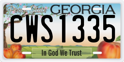 GA license plate CWS1335