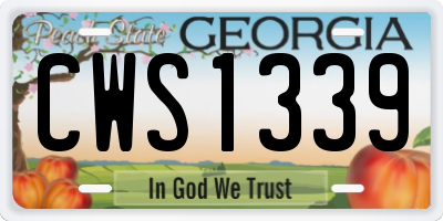 GA license plate CWS1339