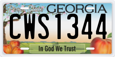 GA license plate CWS1344