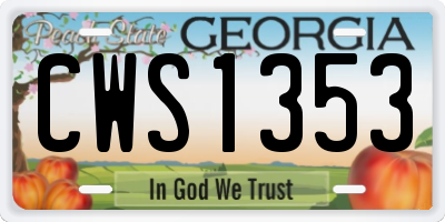 GA license plate CWS1353