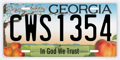 GA license plate CWS1354
