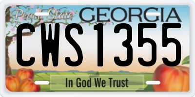 GA license plate CWS1355