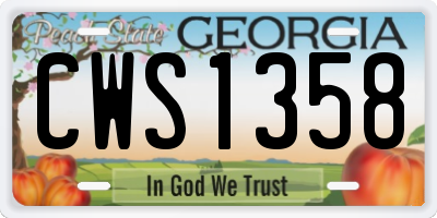 GA license plate CWS1358