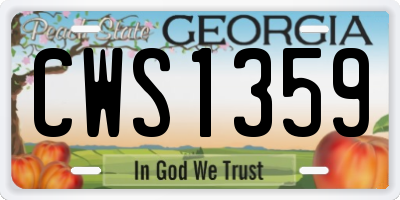 GA license plate CWS1359