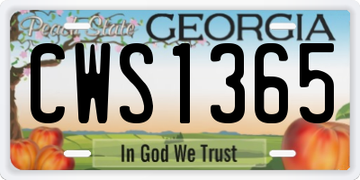 GA license plate CWS1365