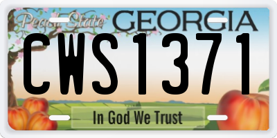 GA license plate CWS1371