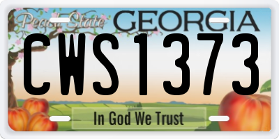 GA license plate CWS1373
