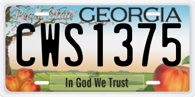 GA license plate CWS1375