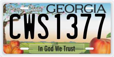 GA license plate CWS1377