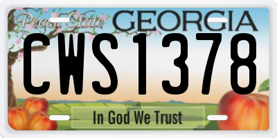 GA license plate CWS1378