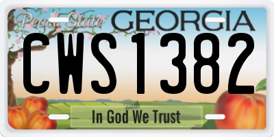 GA license plate CWS1382