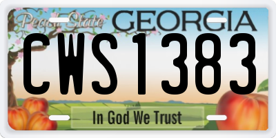 GA license plate CWS1383