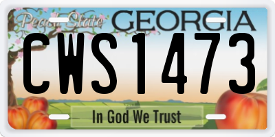 GA license plate CWS1473