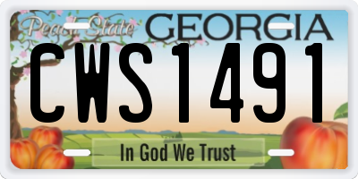 GA license plate CWS1491