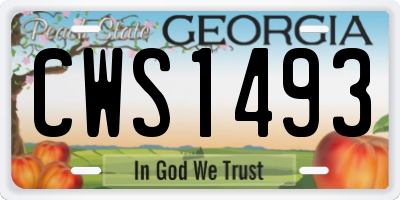 GA license plate CWS1493