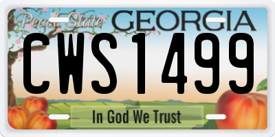 GA license plate CWS1499