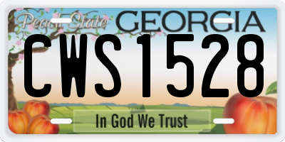GA license plate CWS1528