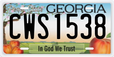 GA license plate CWS1538