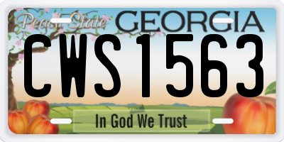 GA license plate CWS1563