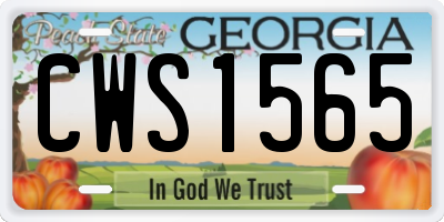 GA license plate CWS1565