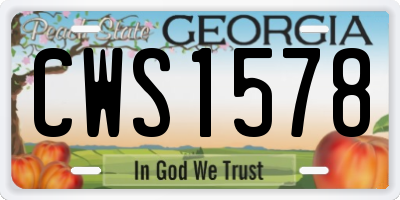 GA license plate CWS1578