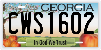 GA license plate CWS1602