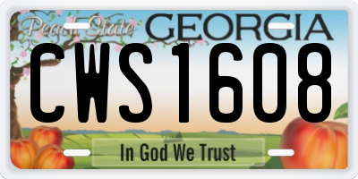 GA license plate CWS1608