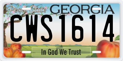 GA license plate CWS1614