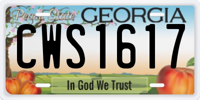GA license plate CWS1617