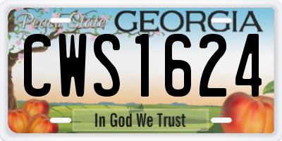GA license plate CWS1624
