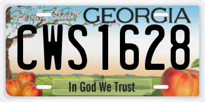 GA license plate CWS1628