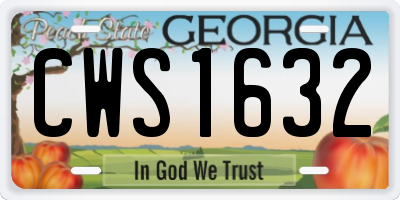 GA license plate CWS1632