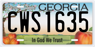 GA license plate CWS1635