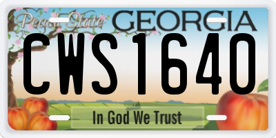 GA license plate CWS1640
