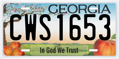 GA license plate CWS1653