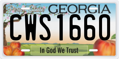 GA license plate CWS1660